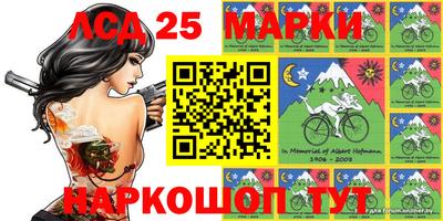 индика Абинск