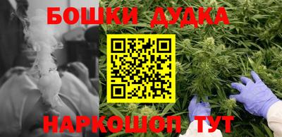 крисы Абакан