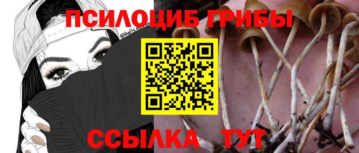 Галлюциногенные грибы мухоморы  Вход с VPN  цена наркотик  Анапа 